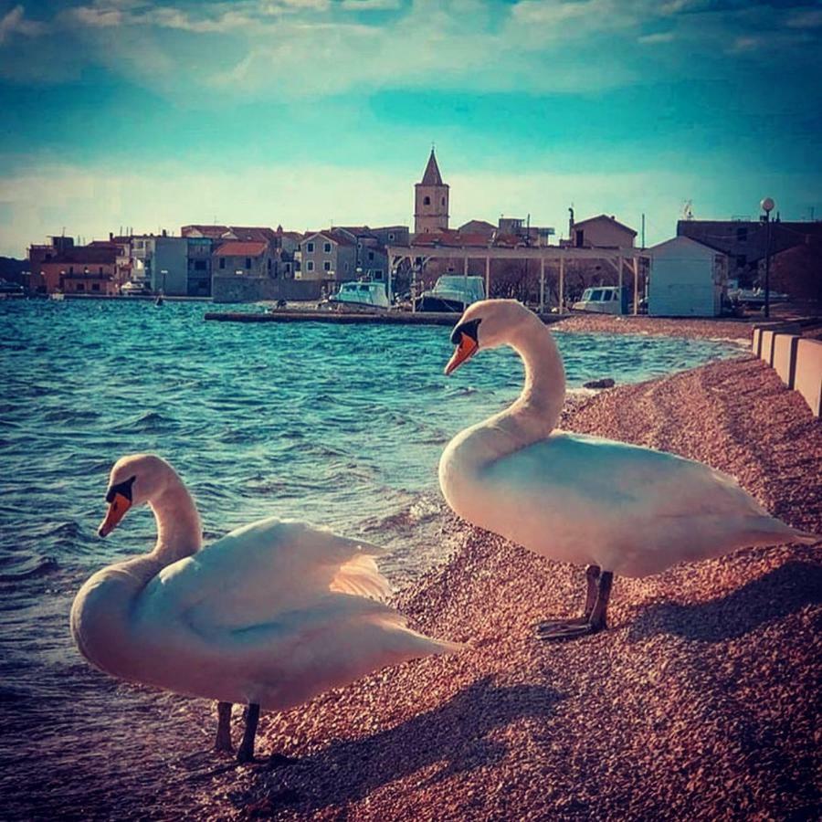 Appartamento Casa Trussardi Pirovac Esterno foto